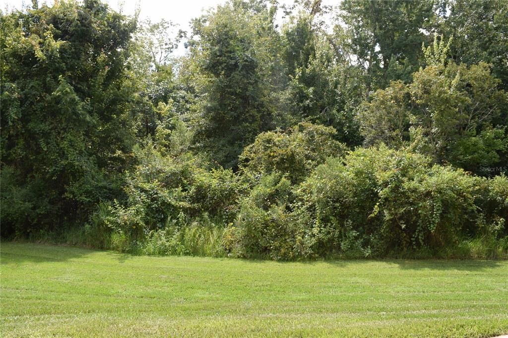 For Rent: $1,500 (3 beds, 2 baths, 1210 Square Feet)