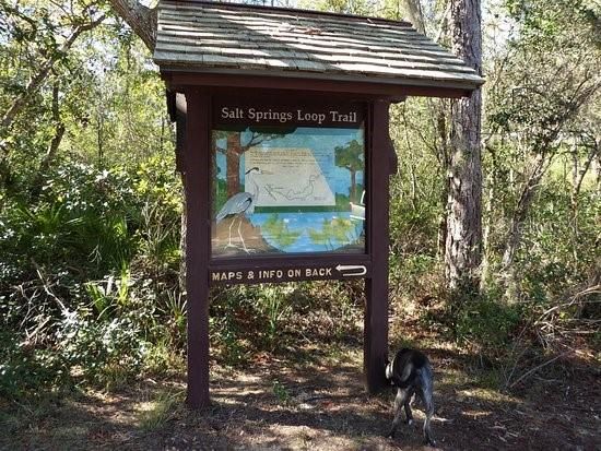 For Sale: $98,900 (2 beds, 2 baths, 968 Square Feet)