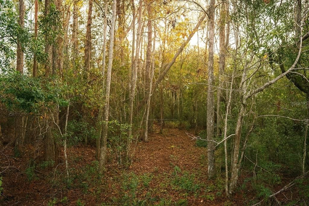 En Venta: $259,900 (4.00 acres)