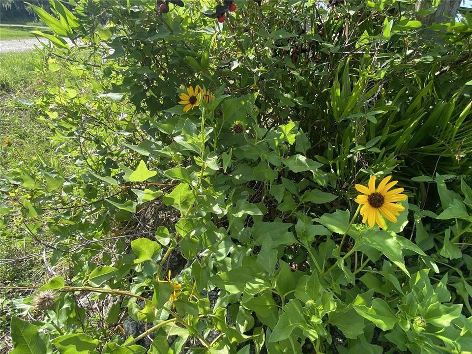 待售: $387,987 (2 贝兹, 2 浴室, 1380 平方英尺)