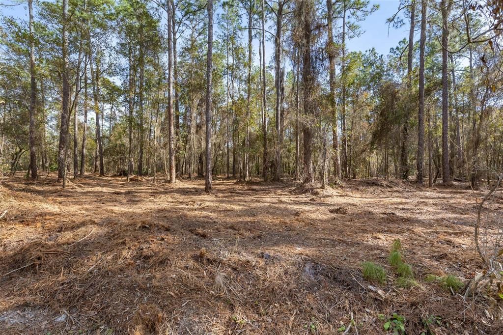 Под контрактом: $284,900 (4.76 acres)