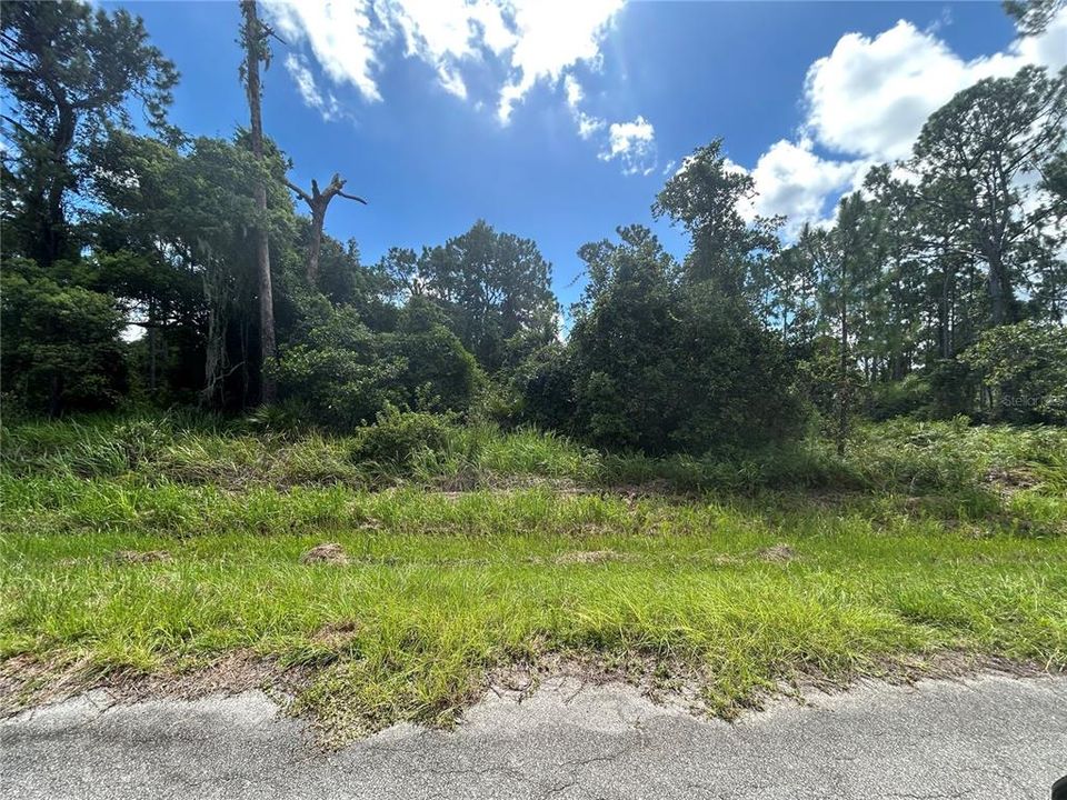 最近售出: $100,000 (1.15 acres)