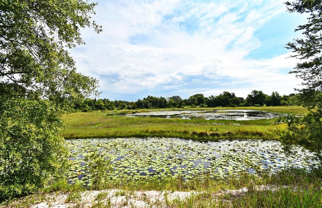 Activo con contrato: $2,000,000 (5 camas, 3 baños, 2800 Pies cuadrados)