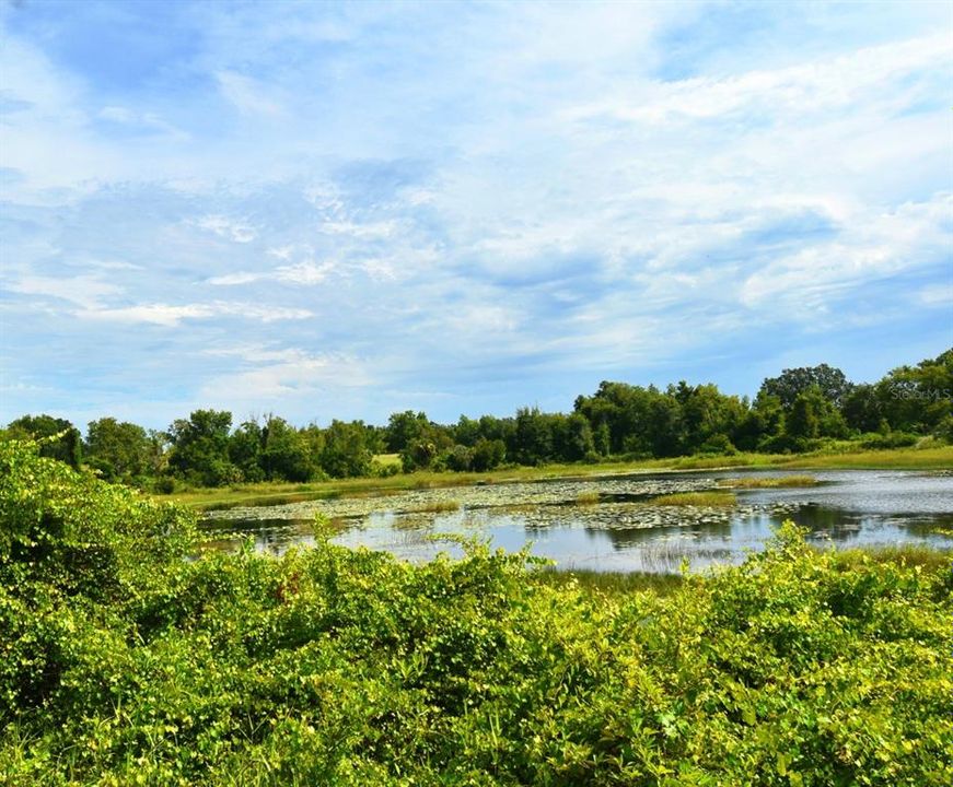Activo con contrato: $2,000,000 (5 camas, 3 baños, 2800 Pies cuadrados)