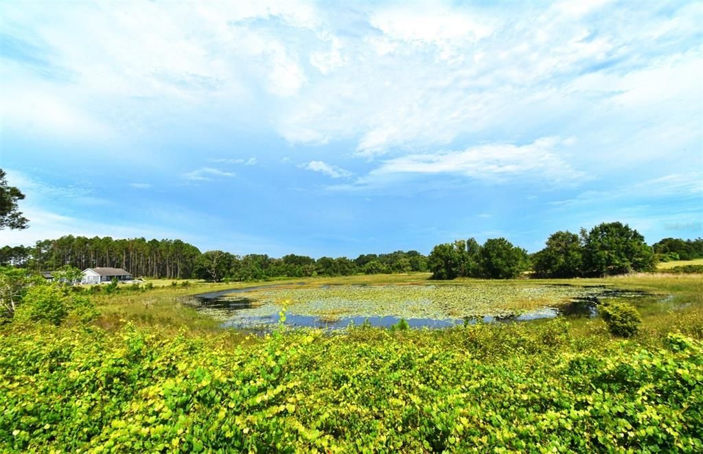 Activo con contrato: $2,000,000 (5 camas, 3 baños, 2800 Pies cuadrados)