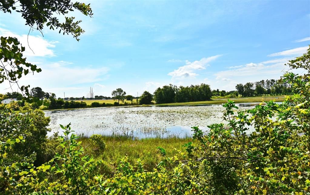 Activo con contrato: $2,000,000 (5 camas, 3 baños, 2800 Pies cuadrados)