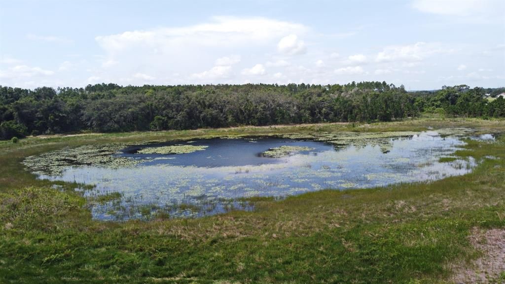 Activo con contrato: $2,000,000 (5 camas, 3 baños, 2800 Pies cuadrados)