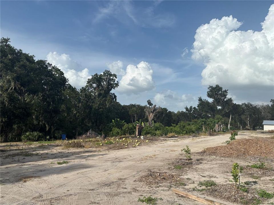 待售: $619,900 (4 贝兹, 2 浴室, 1782 平方英尺)