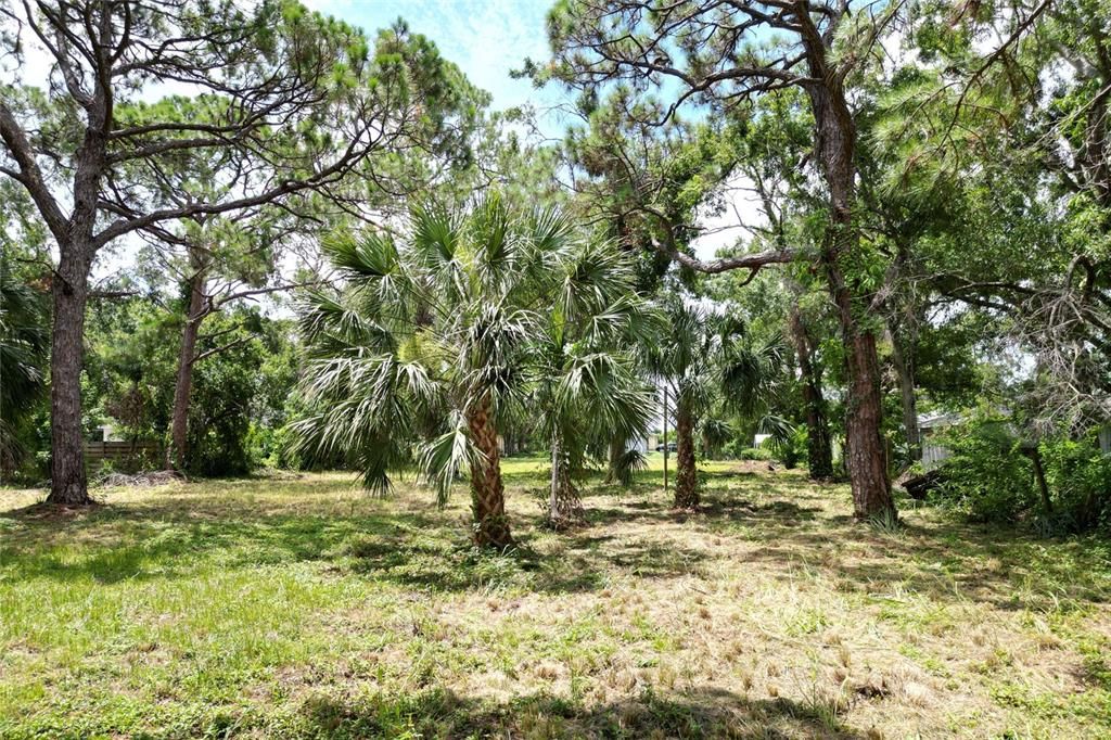 En Venta: $94,400 (0.31 acres)