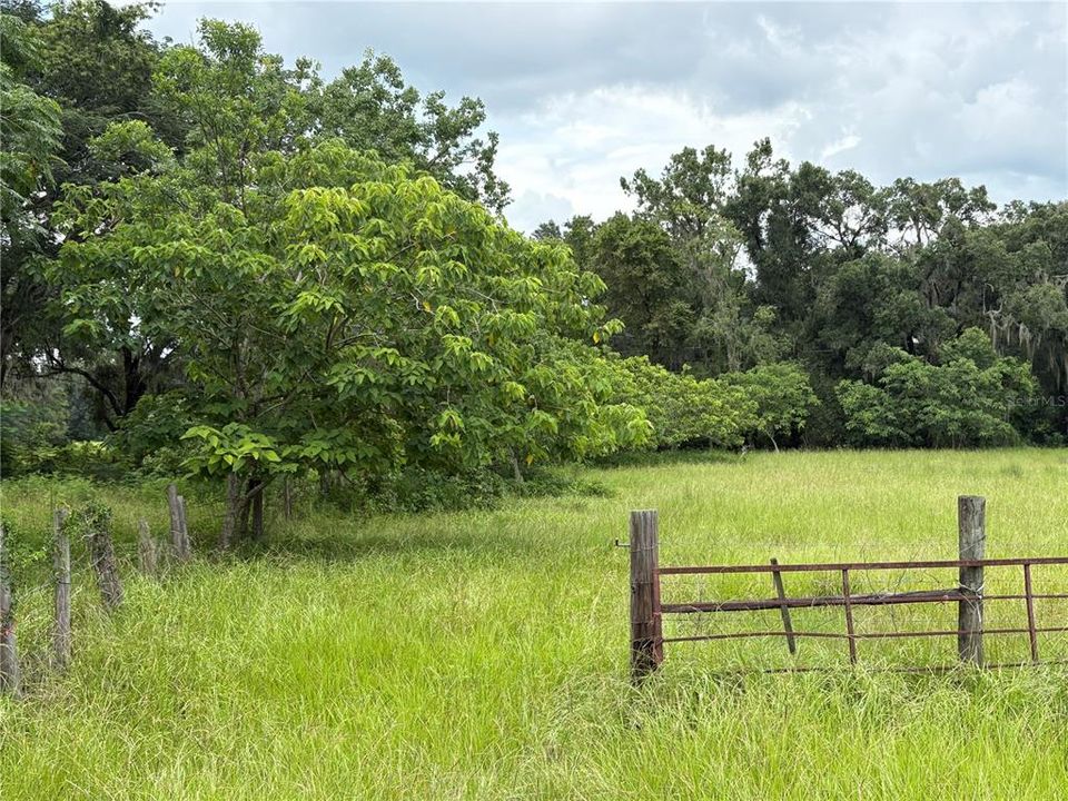 For Sale: $1,520,000 (5 beds, 3 baths, 2172 Square Feet)