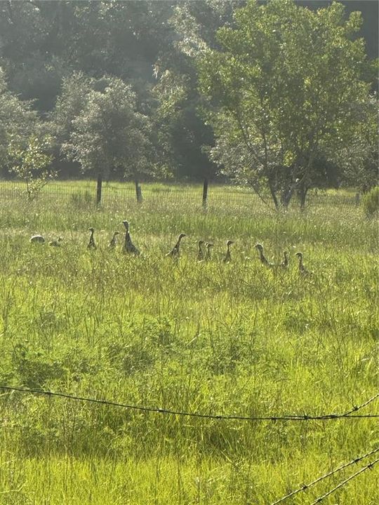 For Sale: $1,520,000 (5 beds, 3 baths, 2172 Square Feet)