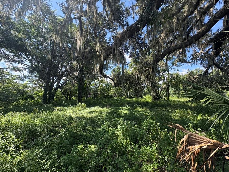 For Sale: $1,520,000 (5 beds, 3 baths, 2172 Square Feet)