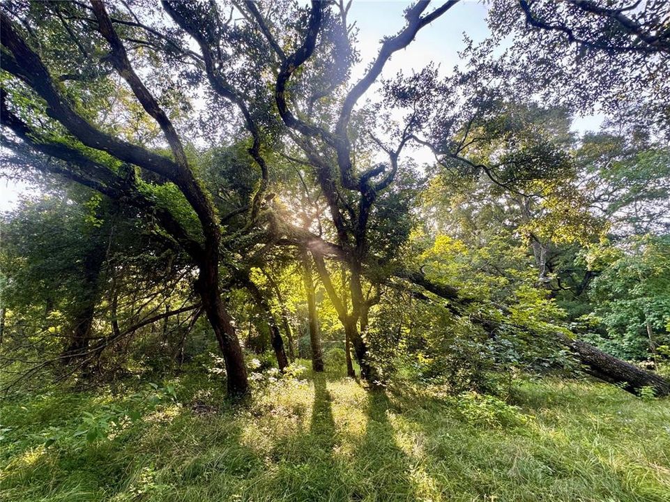 待售: $90,000 (2.00 acres)