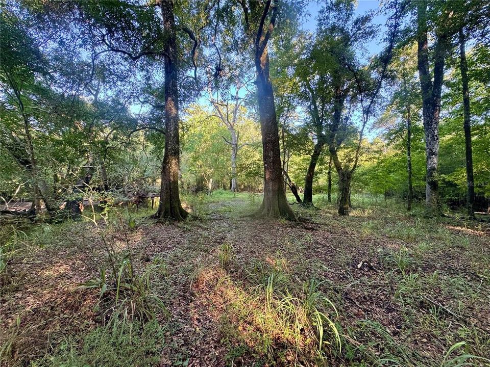 待售: $90,000 (2.00 acres)