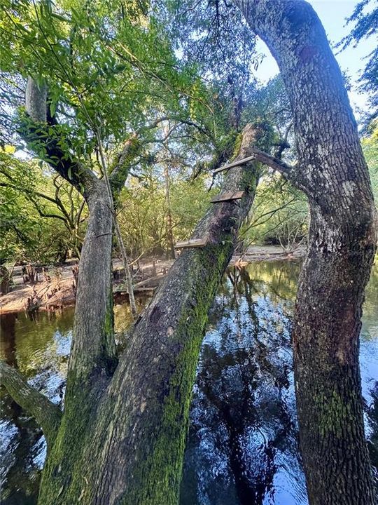 待售: $90,000 (2.00 acres)