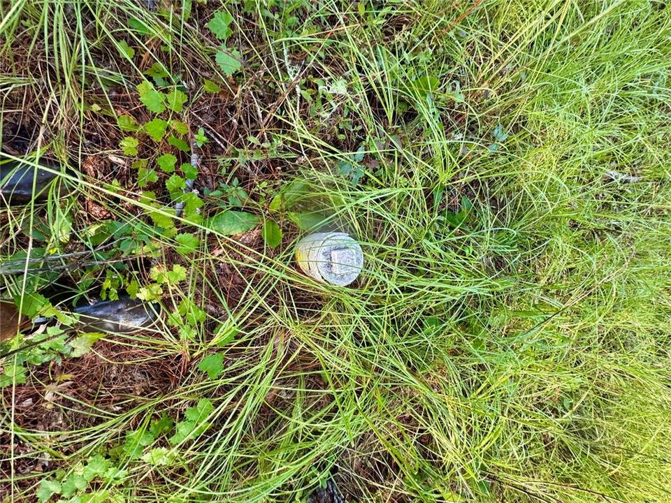 待售: $90,000 (2.00 acres)