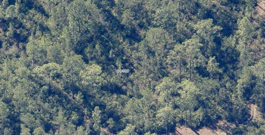 For Sale: $33,000 (2.52 acres)