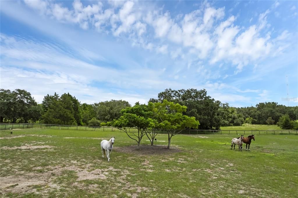 For Sale: $700,000 (3 beds, 2 baths, 2345 Square Feet)