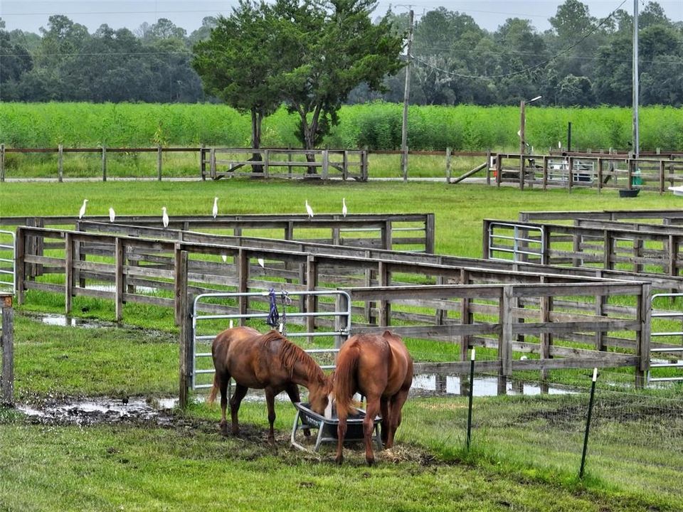 For Sale: $1,295,000 (9.86 acres)