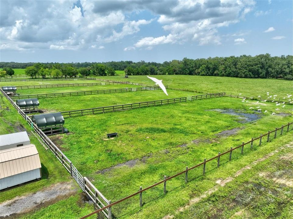 For Sale: $1,295,000 (9.86 acres)