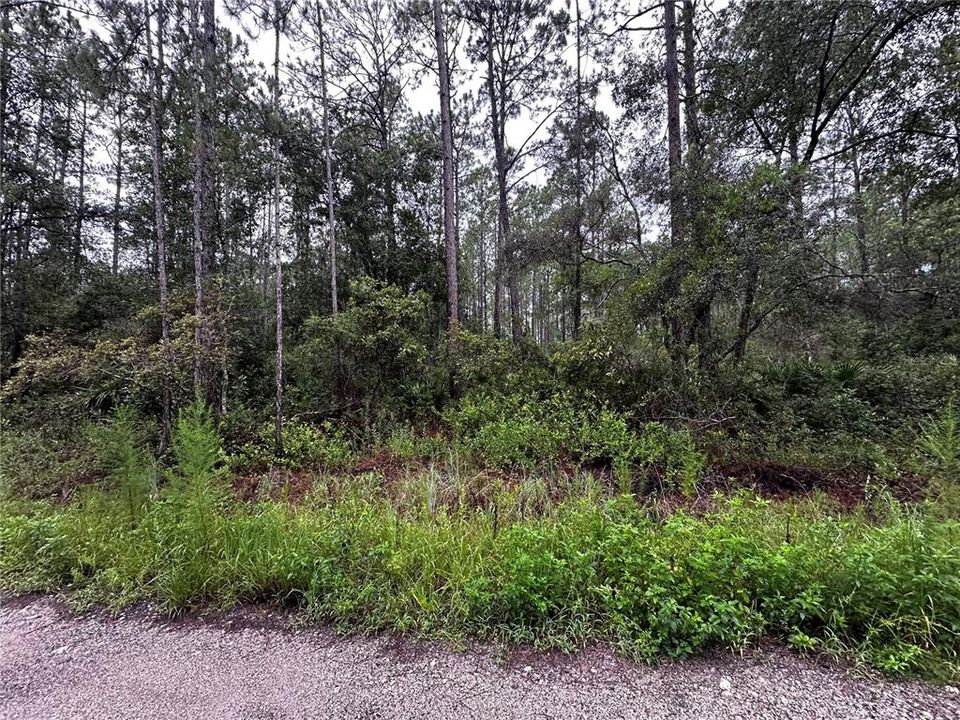 Недавно продано: $18,999 (1.22 acres)