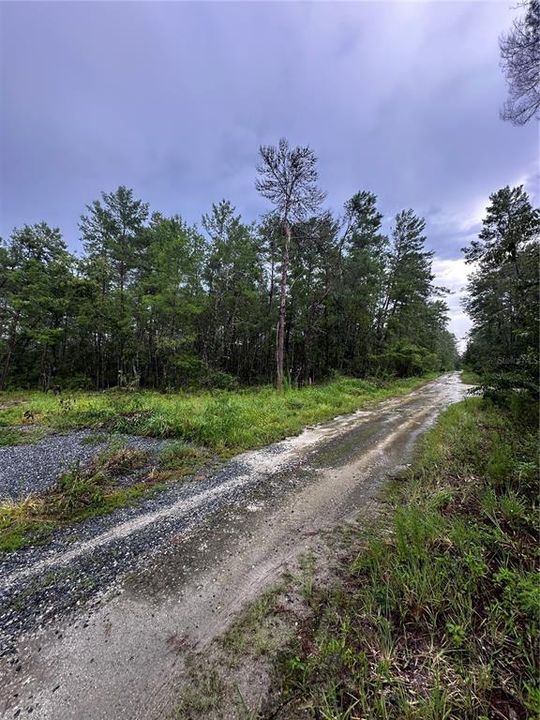 待售: $9,999 (0.23 acres)