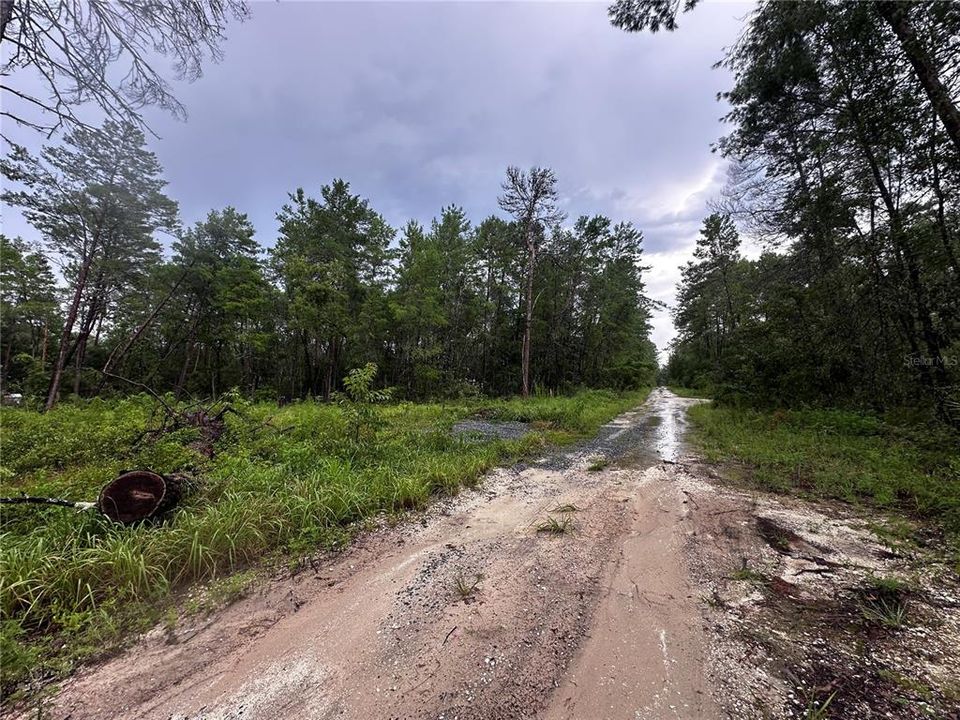 待售: $9,999 (0.23 acres)