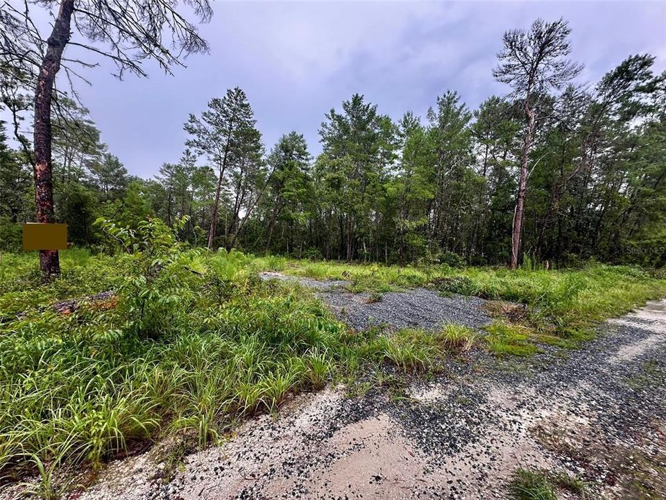 待售: $9,999 (0.23 acres)