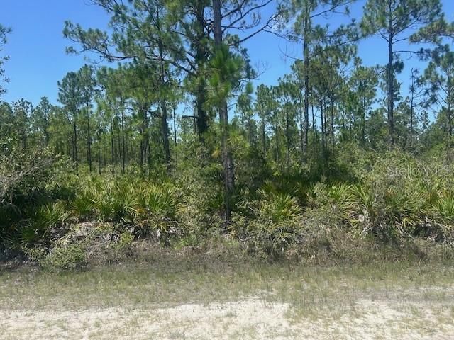 待售: $12,500 (0.50 acres)