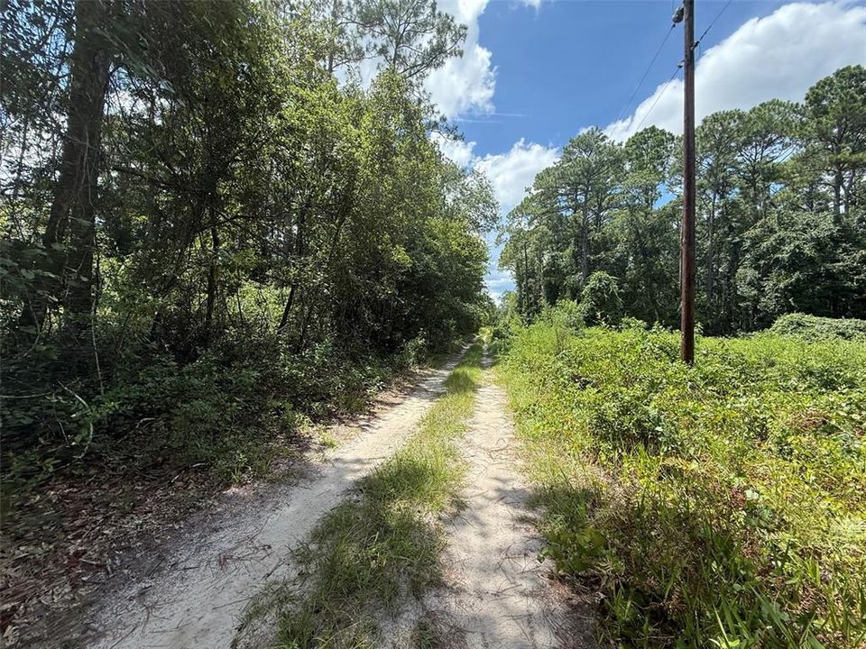 待售: $7,800 (0.34 acres)