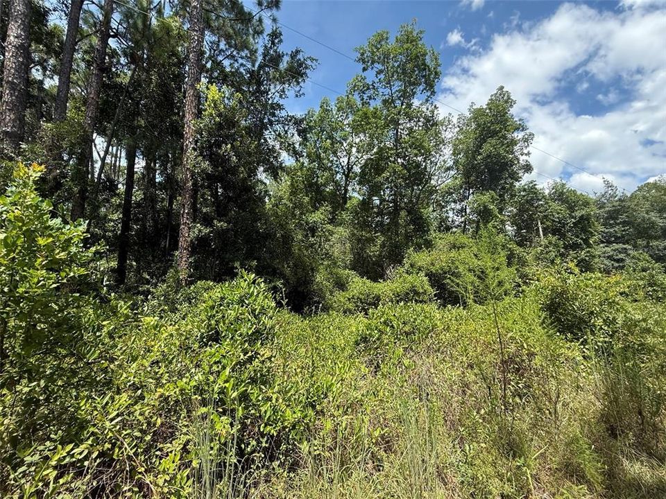 待售: $7,800 (0.34 acres)