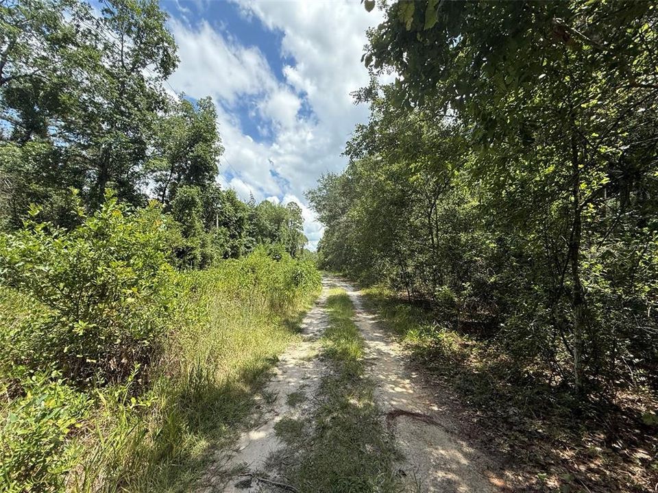 待售: $7,800 (0.34 acres)