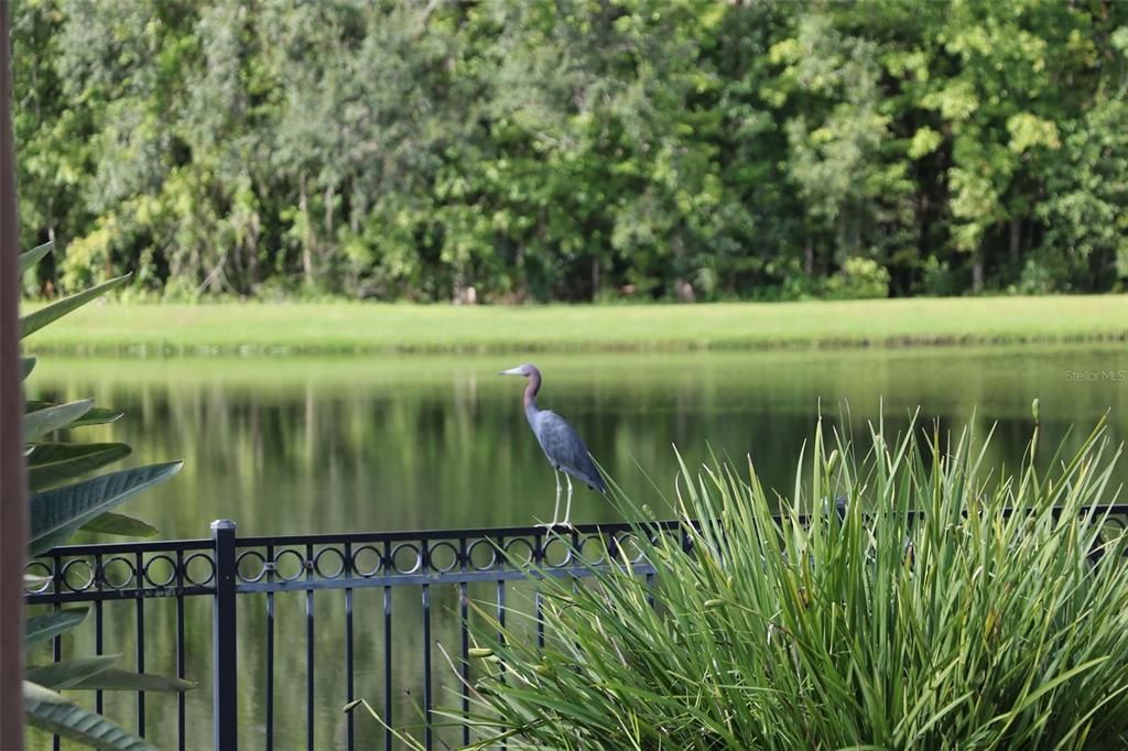 En Venta: $2,645,000 (6 camas, 6 baños, 4851 Pies cuadrados)