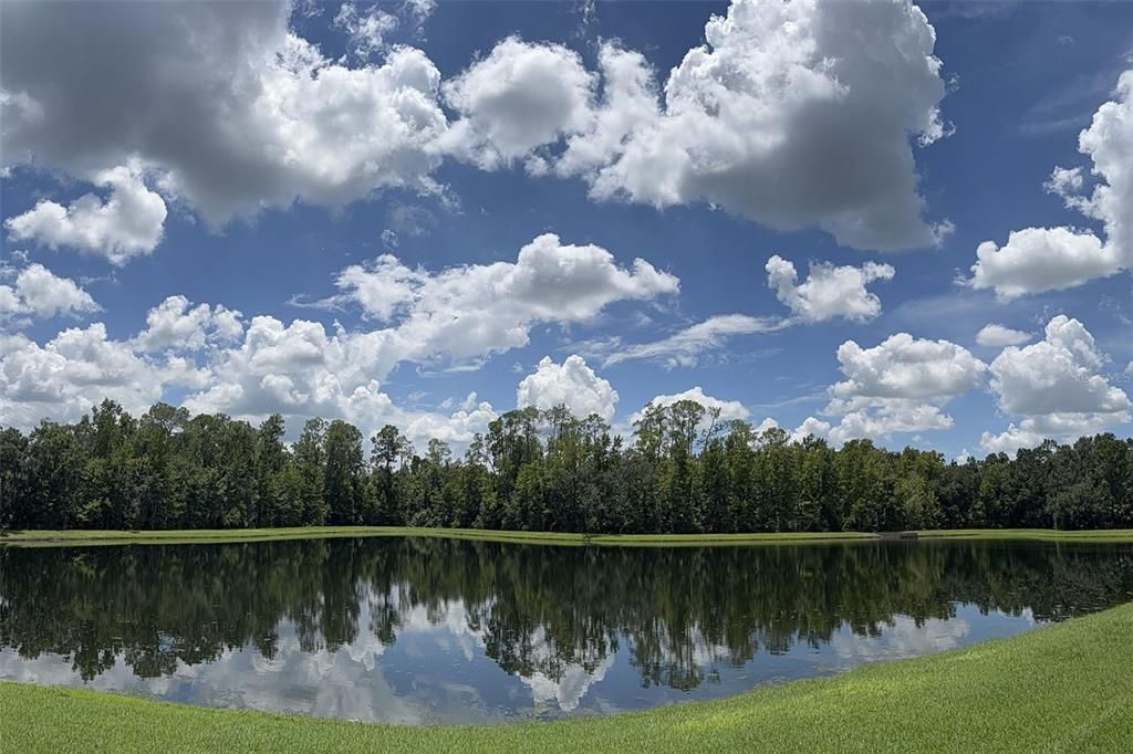 En Venta: $2,645,000 (6 camas, 6 baños, 4851 Pies cuadrados)