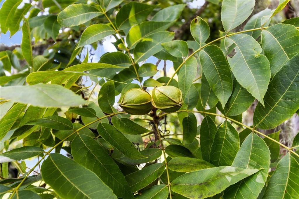 На продажу: $899,000 (4 спален, 3 ванн, 3463 Квадратных фут)