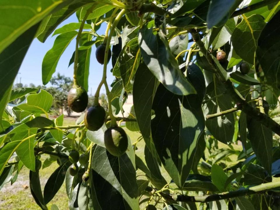 На продажу: $899,000 (4 спален, 3 ванн, 3463 Квадратных фут)