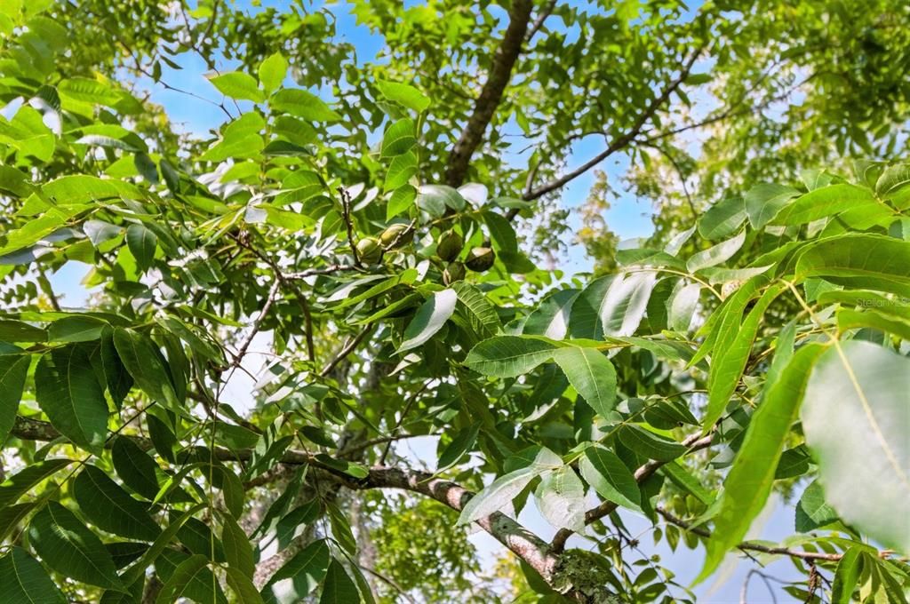 На продажу: $899,000 (4 спален, 3 ванн, 3463 Квадратных фут)