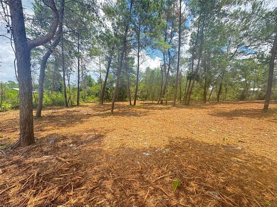 En Venta: $33,900 (0.43 acres)