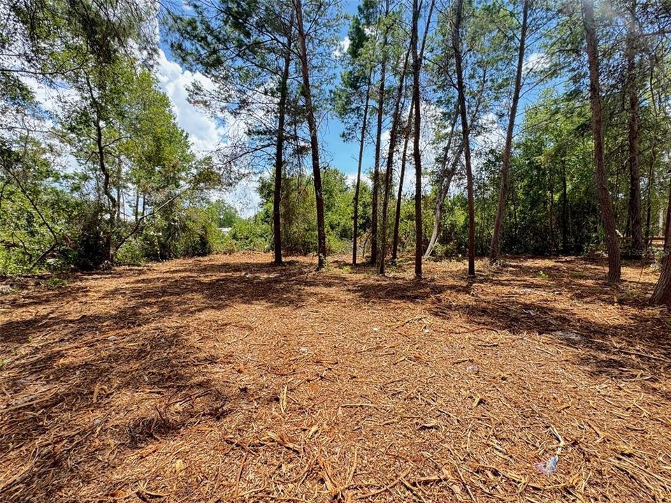 En Venta: $33,900 (0.43 acres)