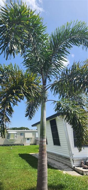 For Sale: $59,900 (1 beds, 1 baths, 552 Square Feet)