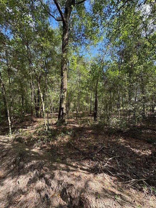 For Sale: $25,000 (0.17 acres)