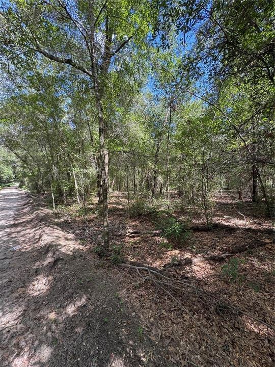 For Sale: $25,000 (0.17 acres)