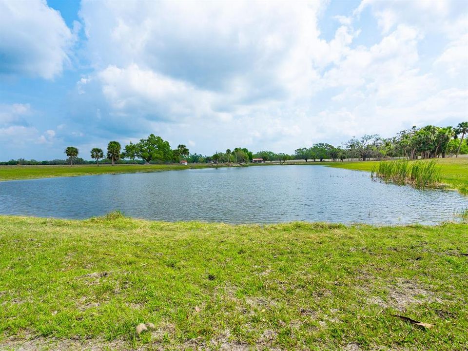 For Sale: $19,999,000 (7 beds, 7 baths, 18869 Square Feet)