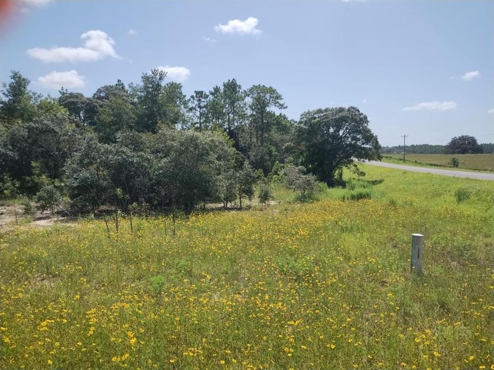 En Venta: $30,000 (1.00 acres)