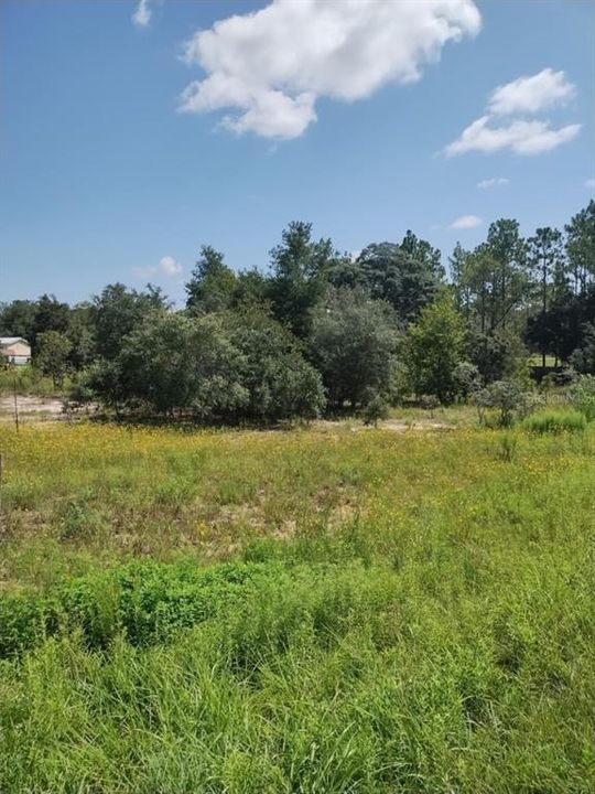 En Venta: $30,000 (1.00 acres)