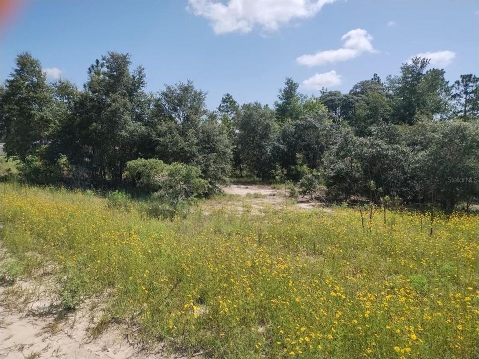 En Venta: $30,000 (1.00 acres)