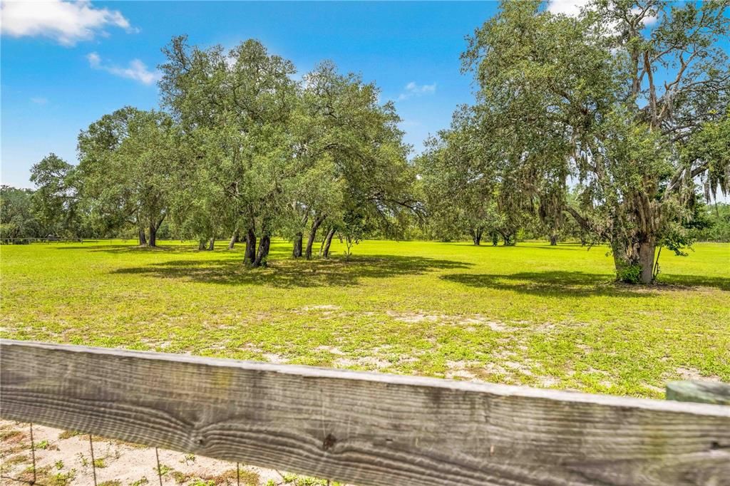 合同活跃: $254,990 (4.70 acres)