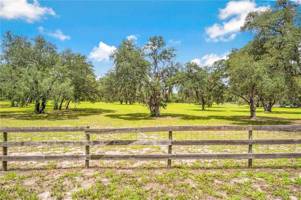 合同活跃: $254,990 (4.70 acres)