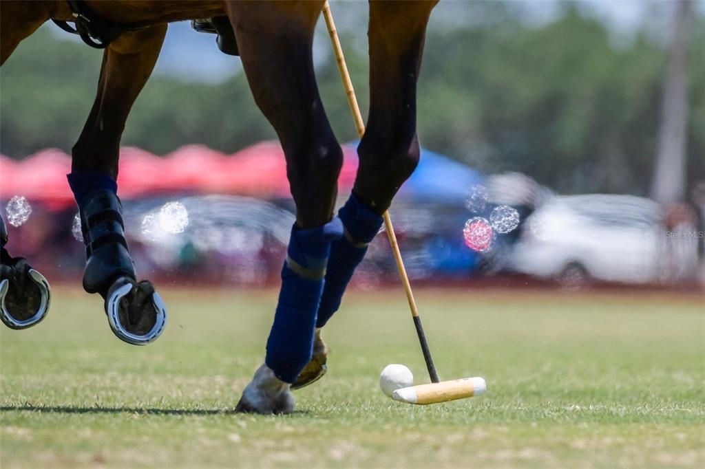 Active With Contract: $689,000 (4 beds, 3 baths, 1508 Square Feet)