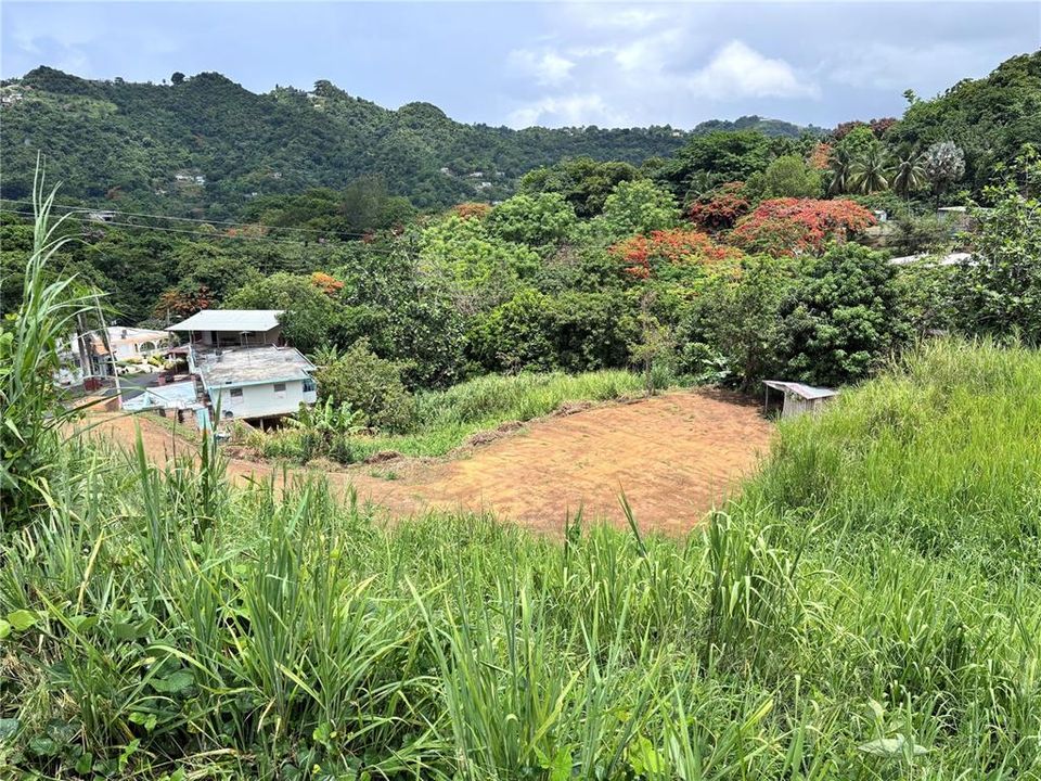 En Venta: $99,900 (0.02 acres)